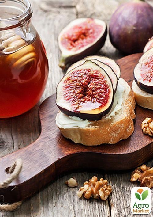 Інжир "Фіолетовий Абхазький" вік саджанця 3 роки