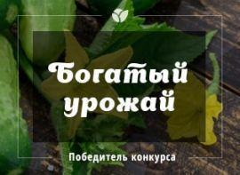 Високоврожайна технологія вирощування огірків