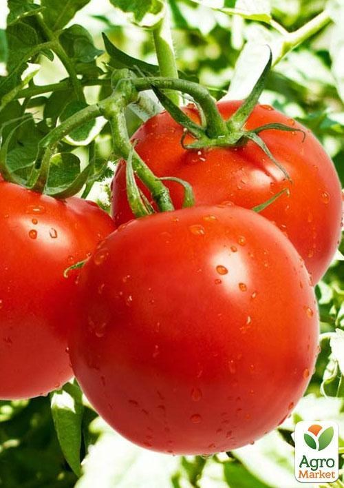 Томат "Эфемер" (в банке) ТМ "Весна Органик" 3г