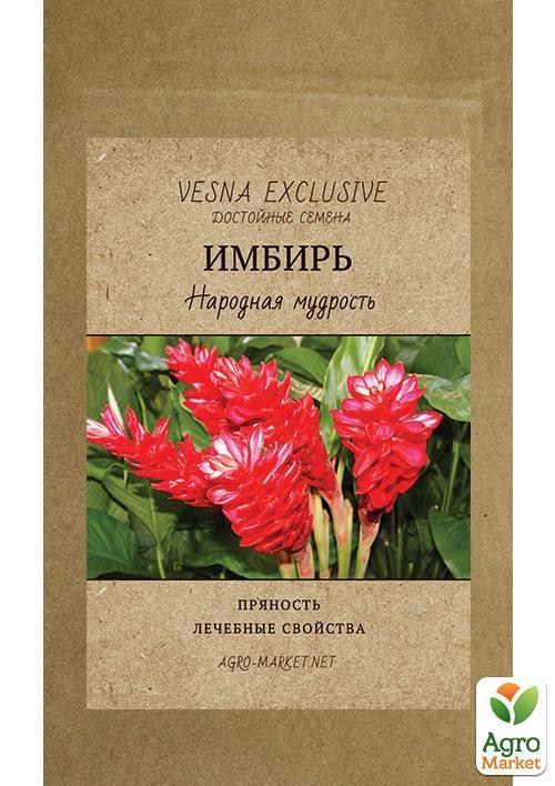 Імбир "Народна мудрість" ТМ "Vesna Exclusive" 10шт - фото 7