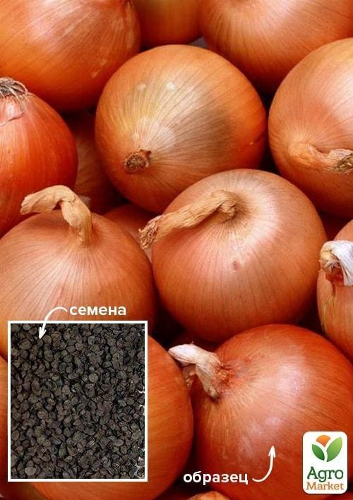 Лук "Каратальский" ТМ "Весна" 100г