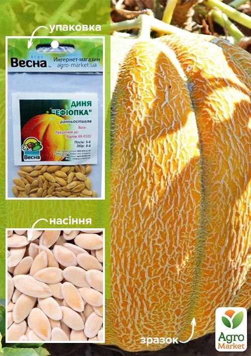Дыня "Эфиопка" (Зипер) ТМ "Весна" 3г