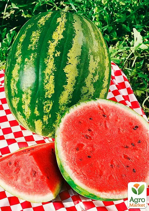 Кавун "Фаворит" (Зипер) ТМ "Весна" 4г - фото 3