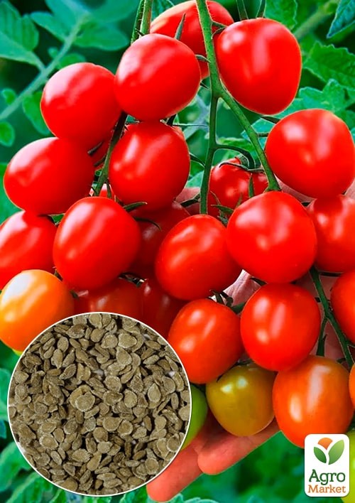 Томат "Новинка приднестровья" (Зипер) ТМ "Весна" 0,5г