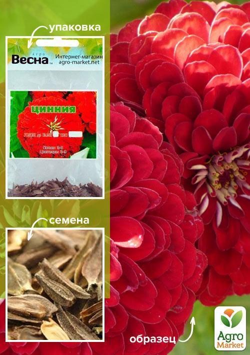 Цинния красная (Зипер) ТМ "Весна" 2г
