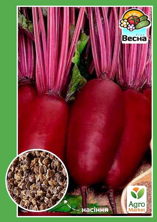 Буряк "Кедр" ТМ "Весна" 2г