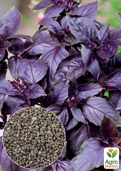 На вагу Базилік фіолетовий ТМ "Весна" ціна за 3г