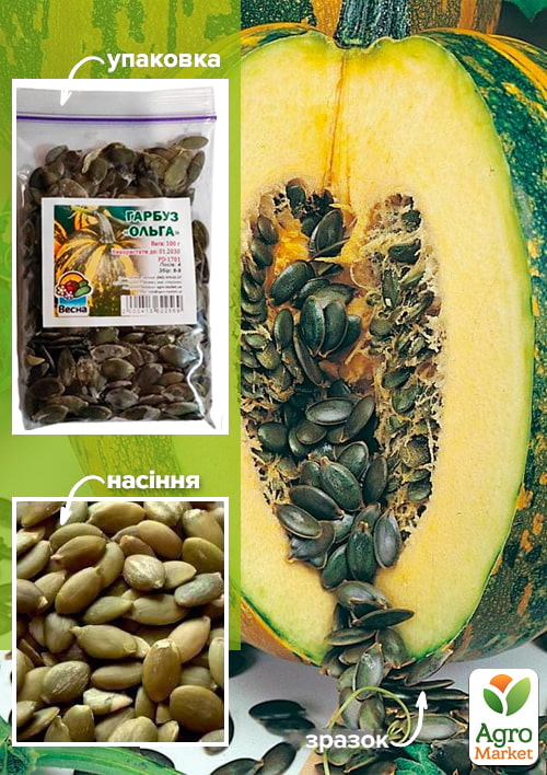 Тыква "Ольга" ТМ "Весна" 100г