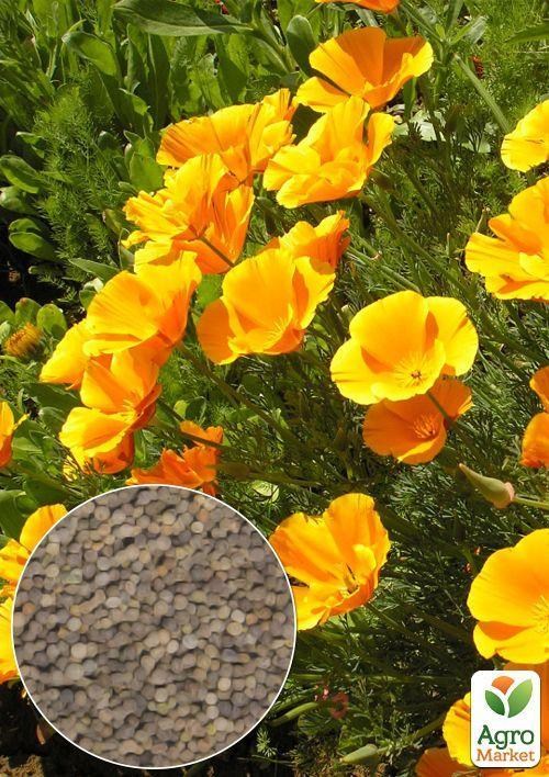 На вагу Ешшольція "Жовта Королева" ТМ "Весна" ціна за 2г