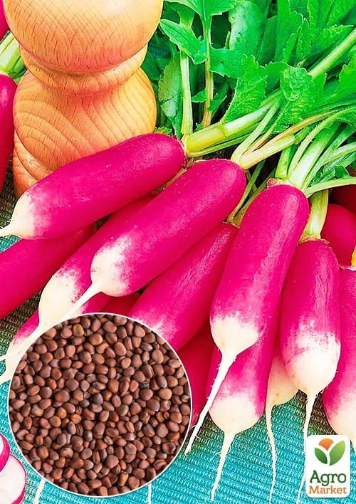 Редис "Базис" (Великий пакет) ТМ "Весна" 6г