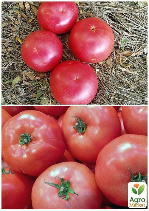 На развес Томат "Олимп розовый" ТМ "Весна" цена за 1г - фото 4