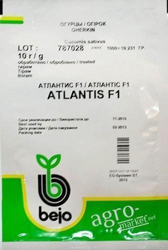 Огурец "Атлантис F1" ТМ "Bejo" 10г