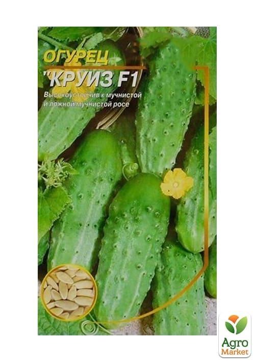 Огірок "Круїз F1" ТМ "Весна" 0.5г - фото 2