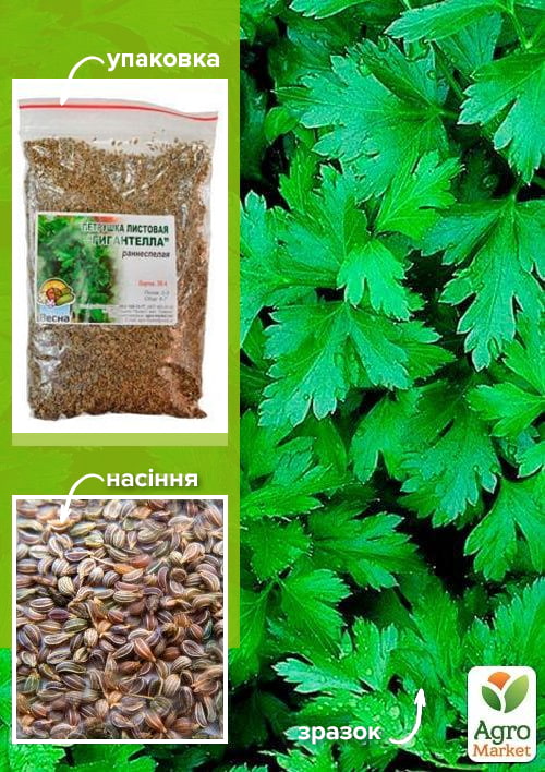 Петрушка "Гігантелла" ТМ "Весна" 100г