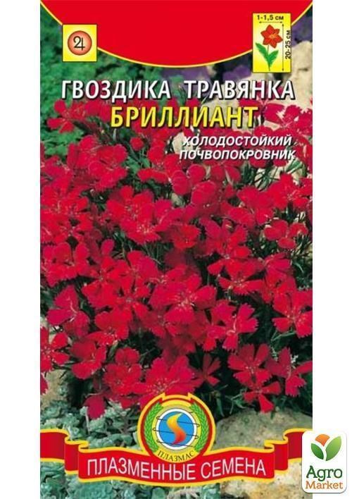 Гвоздика травянка "Діамант" ТМ "Плазмові насіння" 0,1г