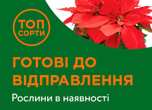 Рослини готові до відправки!