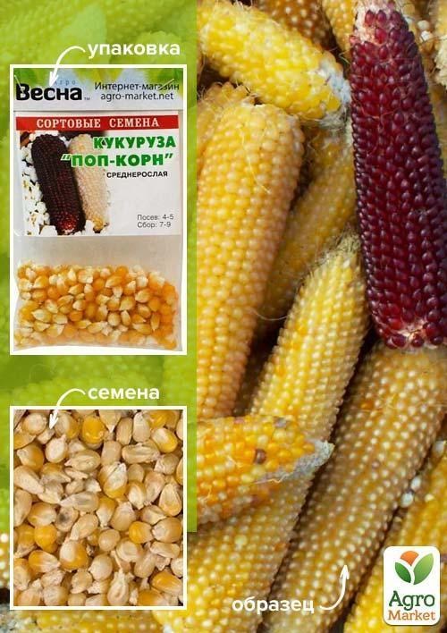 Кукурудза "Поп-корн" (Зипер) ТМ "Весна" 15г
