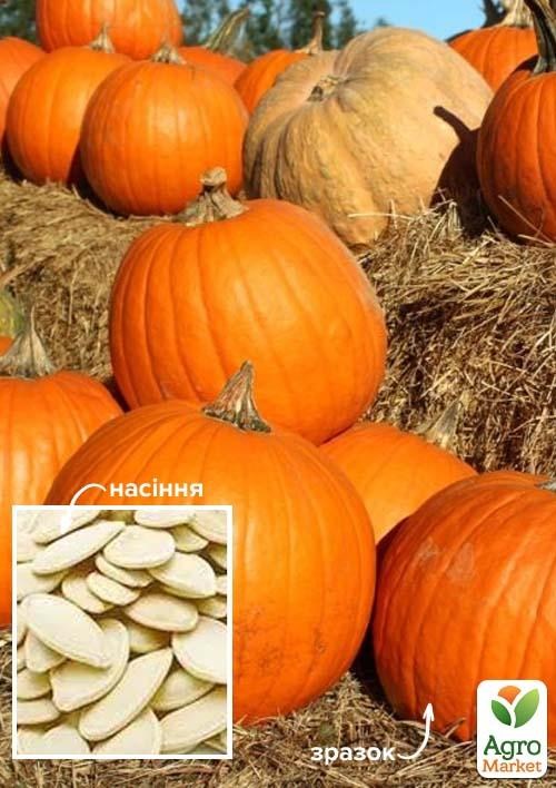 Тыква "Биг Макс" ТМ "Весна" 500г