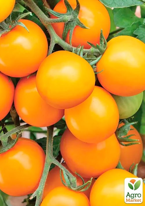 На развес Томат "Оранж" ТМ "Весна" цена за 1г - фото 2