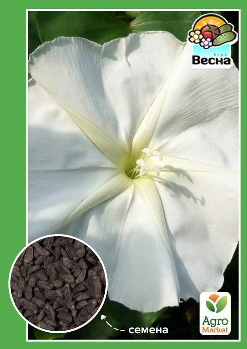 Ипомея белая ТМ "Весна" 0.5г