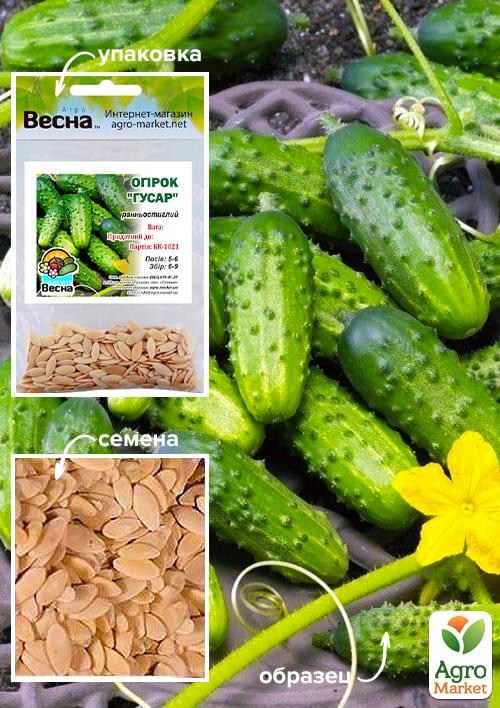 Огурец "Гусар" (Зипер) ТМ "Весна" 0.5г