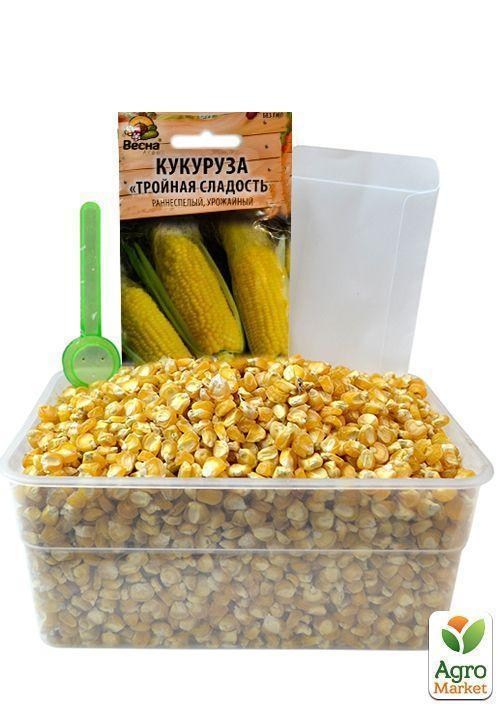 На развес Кукуруза "Тройная сладость" ТМ "Весна" цена за 40г - фото 4