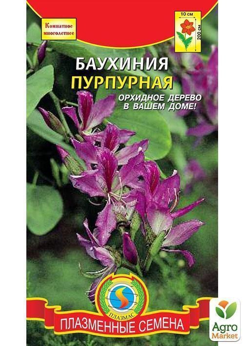 Баухинія пурпурна ТМ "Плазмові насіння" 2шт