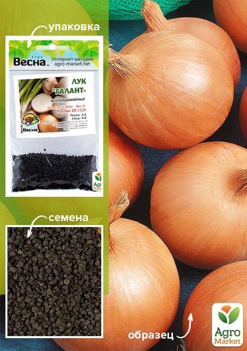 Лук "Галант" (Зипер) ТМ "Весна" 3г
