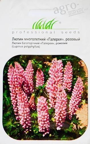 Люпин рожевий "Галерея" ТМ "Hem Zaden" 0.2г