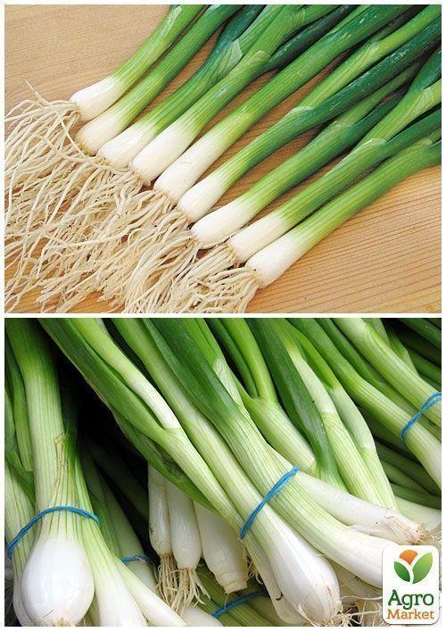 На вагу Цибуля "На перо" ТМ "Весна" ціна за 3г - фото 2