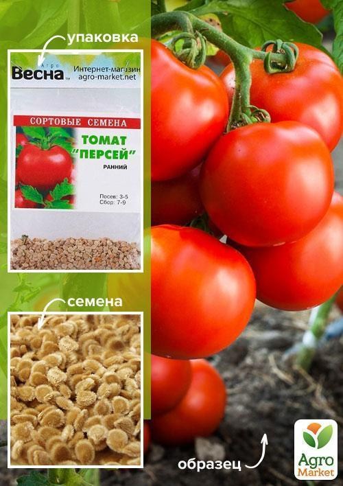 Томат "Персей" (Зипер) ТМ "Весна" 1г