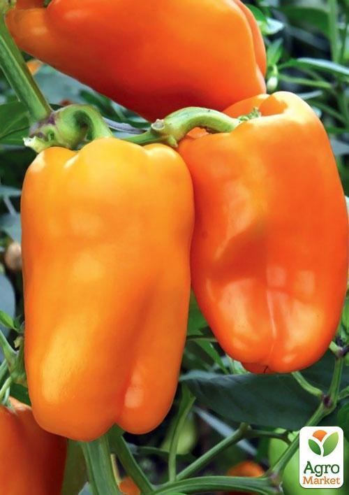 Перец " Золотой телец "ТМ "Vesna Select" 20шт - фото 3