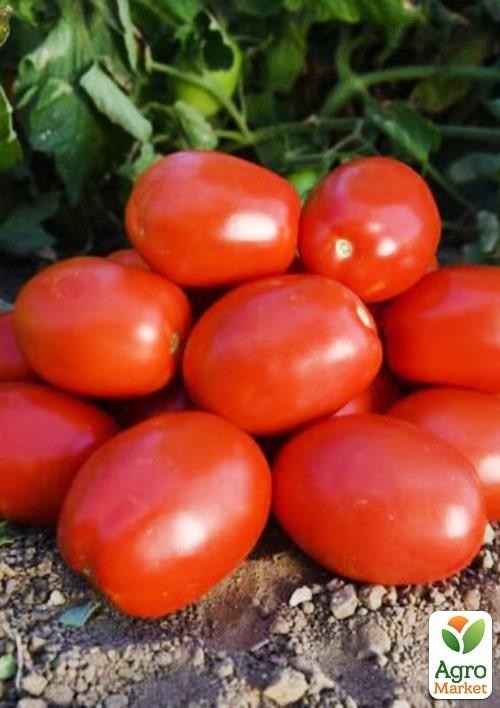 Томат детермінантний "1892 F1" ТМ "Lark Seeds" 5000шт