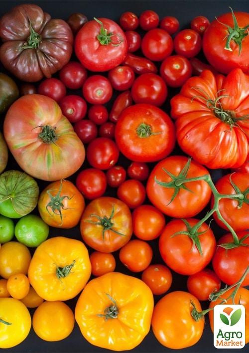 Томат "Texas Star" ТМ "Vesna Select" 0.2г