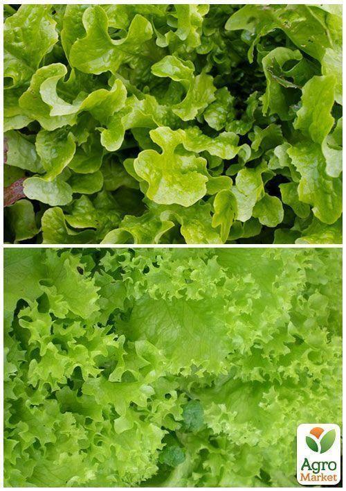 На развес Салат "Тайфун" ТМ "Весна" цена за 8г - фото 3