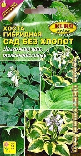 Хоста гібридна "Сад без турбот" ТМ "Аеліта" 0.024г
