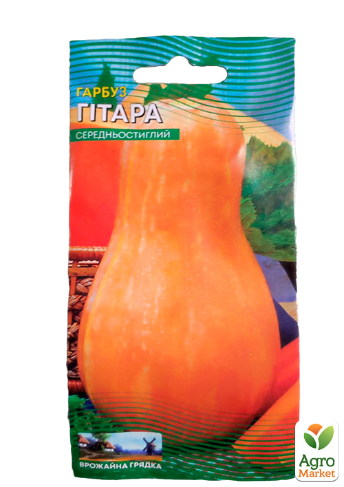 Тыква "Гитара" ТМ "Весна" 2г - фото 2