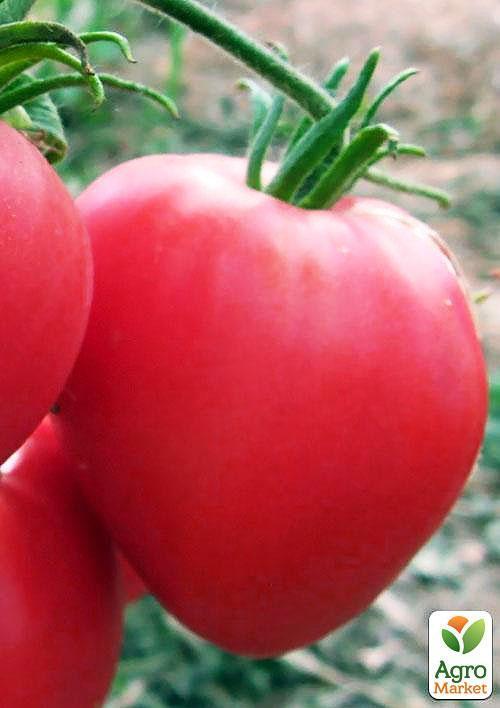 Томат "Бычье сердце розовое" (Зипер) ТМ "Весна" 0.5г - фото 3