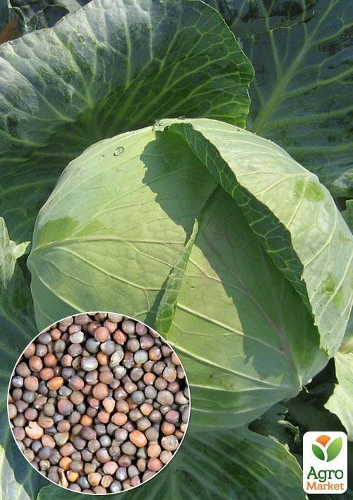 На вагу Капуста "Дітмаршер Фрюєр" ТМ "Весна" ціна за 4г