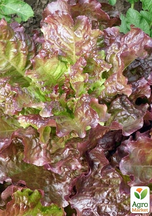 На развес Салат "Десерт" ТМ "Весна" цена за 5г - фото 2