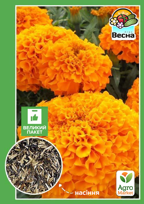 Чорнобривці "Низькорослі" (Великий пакет) ТМ "Весна" 1г