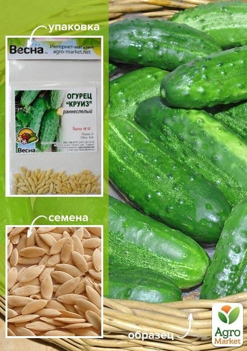 Огірок "Круїз" (Зипер) ТМ "Весна" 1.5г