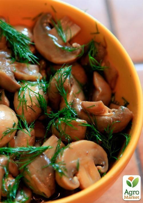 Міцелій на дубових брусочках "Опеньок цибулинноногий" 10шт - фото 2