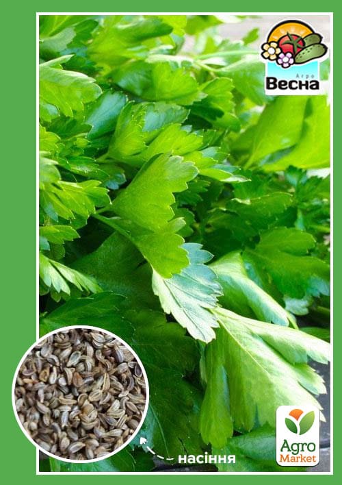 Петрушка "Гігант Італії" ТМ "Весна" 2г