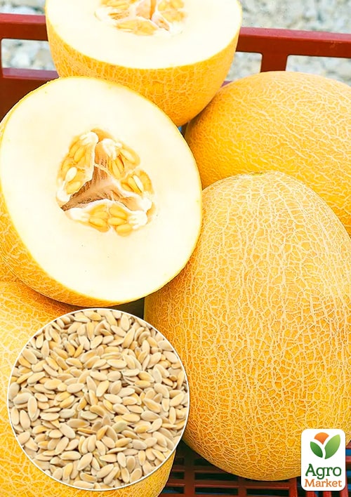 Диня "Престиж" ТМ "Весна" 1.5г