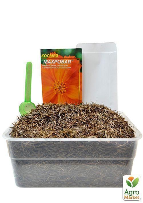На вагу Космея "Помаранчева махрова" ТМ "Весна" ціна за 2г - фото 4