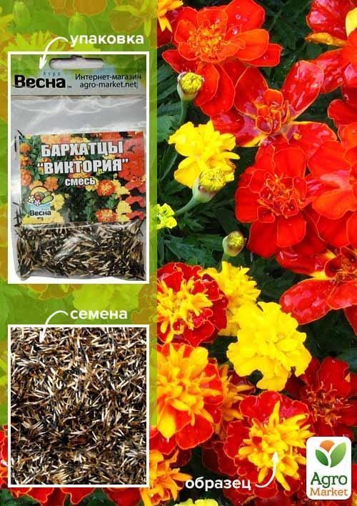 Бархатцы "Виктория" (Зипер) ТМ "Весна" 1г