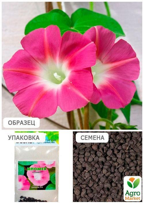 Іпомея "Рожева" (Зипер) ТМ "Весна" 1г - фото 4