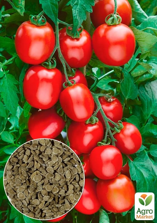 На развес Томат "Гейзер" ТМ "Весна" цена за 1г