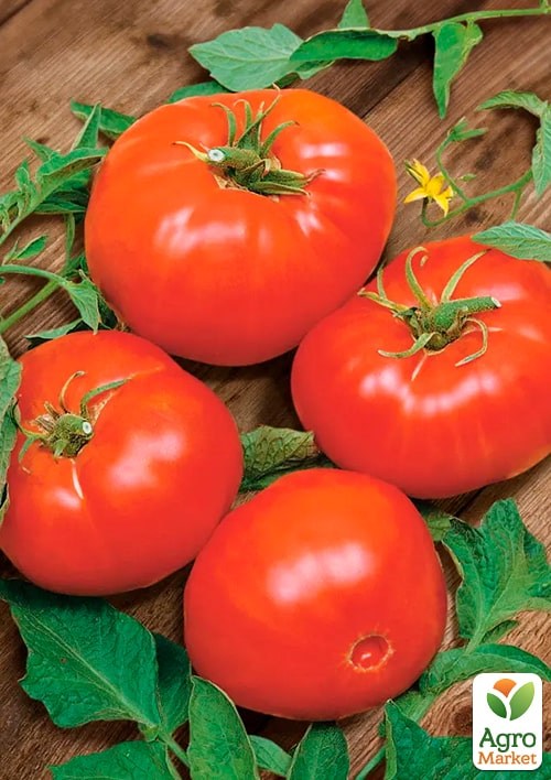 На развес Томат "Медфорд" ТМ "Весна" цена за 2г - фото 2